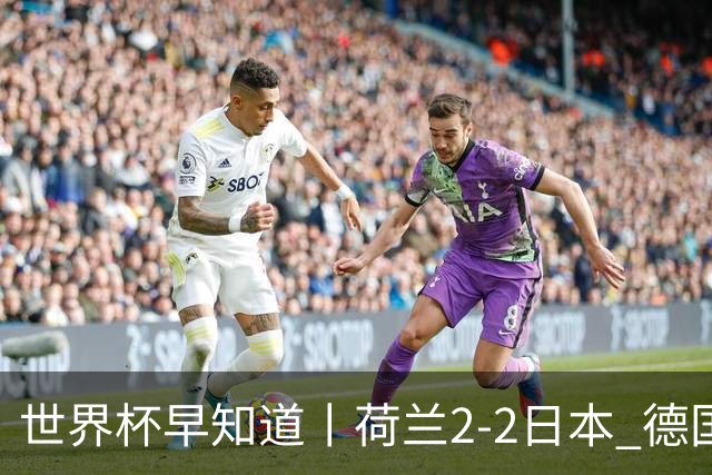世界杯早知道丨荷兰2-2日本 德国7-1大胜库拉索